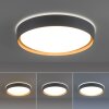 Paul Neuhaus Q-EMILIA Plafondlamp LED Grijs, houtlook, 1-licht, Afstandsbediening