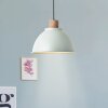 Brilliant Erena Hanglamp Groen, 1-licht