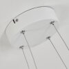 Kermoguen Hanglamp LED Wit, 1-licht