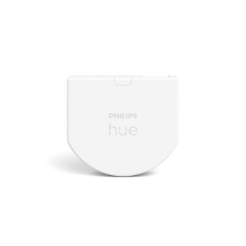 Philips Hue Wandschakelaar Wit