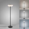 Paul Neuhaus Q-ETIENNE Staande lamp LED Zwart, 1-licht, Afstandsbediening