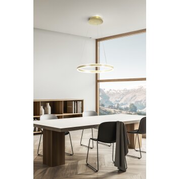 Fabas Luce Palau Hanglamp LED Goud, 1-licht