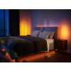 Philips Hue Gradient Signe Oak Staande lamp LED Natuurlijke kleuren, Wit, 1-licht