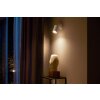 Philips Hue Fugato Plafondlamp LED Wit, 1-licht, Kleurwisselaar