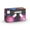 Philips Hue Fugato Plafondlamp LED Wit, 2-lichts, Kleurwisselaar