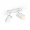 Philips Hue Fugato Plafondlamp LED Wit, 2-lichts, Kleurwisselaar