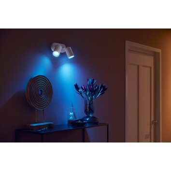 Philips Hue Fugato Plafondlamp LED Wit, 2-lichts, Kleurwisselaar