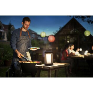 Philips Cicero Tafellamp voor buiten LED Zwart, Wit, 1-licht