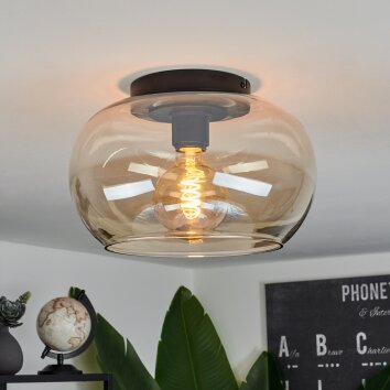 Molloy Plafondlamp Amber, 1-licht