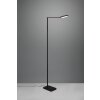 Trio Pavia Staande lamp LED Zwart, 1-licht