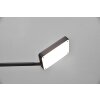 Trio Pavia Staande lamp LED Zwart, 1-licht