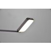 Trio Pavia Staande lamp LED Zwart, 1-licht