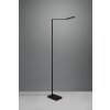 Trio Pavia Staande lamp LED Zwart, 1-licht