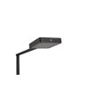 Trio Pavia Staande lamp LED Zwart, 1-licht