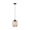 Paul Neuhaus SHITAKE Hanglamp Zwart, 1-licht