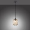 Paul Neuhaus SHITAKE Hanglamp Zwart, 1-licht