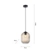 Paul Neuhaus SHITAKE Hanglamp Zwart, 1-licht