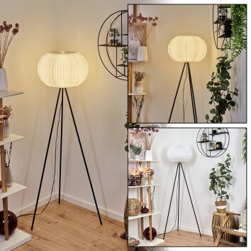 Regufe Staande lamp Zwart, 1-licht