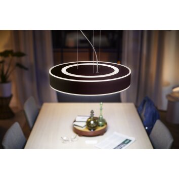 Philips Hue Enrave Hanglamp LED Zwart, 1-licht, Afstandsbediening