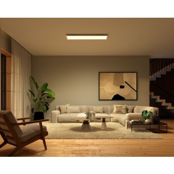 Philips Hue Surimu Plafondpaneel LED Wit, 1-licht, Kleurwisselaar