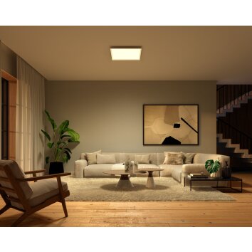 Philips Hue Surimu Plafondpaneel LED Wit, 1-licht, Kleurwisselaar