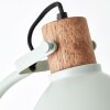 Brilliant Erena Staande lamp Groen, 1-licht