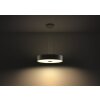 Philips Hue Fair Hanglamp LED Zwart, 1-licht, Afstandsbediening