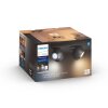 Philips Hue Buckram Plafondlamp LED Zwart, 4-lichts, Afstandsbediening