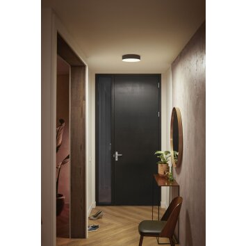 Philips Hue Enrave Plafondlamp LED Zwart, 1-licht, Afstandsbediening