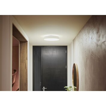 Philips Hue Enrave Plafondlamp LED Wit, 1-licht, Afstandsbediening