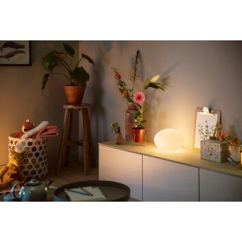 Philips Hue Flourish Tafellamp LED Wit, 1-licht, Kleurwisselaar