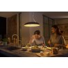 Philips Hue Amaze Hanglamp LED Zwart, 1-licht, Afstandsbediening