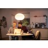 Philips Hue Flourish Hanglamp LED Wit, 1-licht, Kleurwisselaar