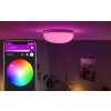 Philips Hue Flourish Plafondlamp LED Wit, 1-licht, Kleurwisselaar