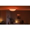 Philips Hue Flourish Plafondlamp LED Wit, 1-licht, Kleurwisselaar