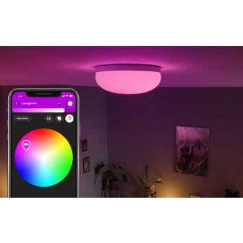 Philips Hue Flourish Plafondlamp LED Wit, 1-licht, Kleurwisselaar