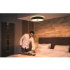 Philips Hue Fair Plafondlamp LED Zwart, 1-licht, Afstandsbediening