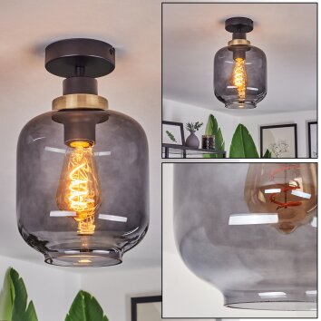 Curveira Plafondlamp Brons, Zwart, 1-licht