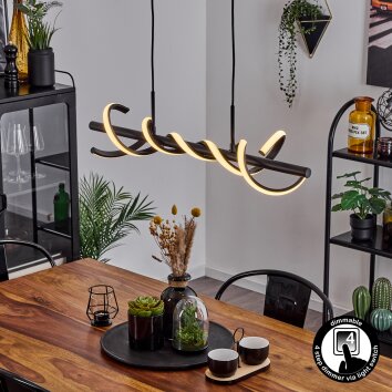 Alvarim Hanglamp LED Zwart, 1-licht