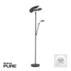 Paul Neuhaus PURE-MUTIL Uplighter LED Antraciet, 2-lichts