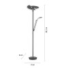 Paul Neuhaus PURE-MUTIL Uplighter LED Antraciet, 2-lichts