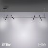 Paul Neuhaus PURE-TUTUA Hanglamp LED Zwart, 4-lichts