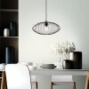 Brilliant Norden Hanglamp Zwart, 1-licht