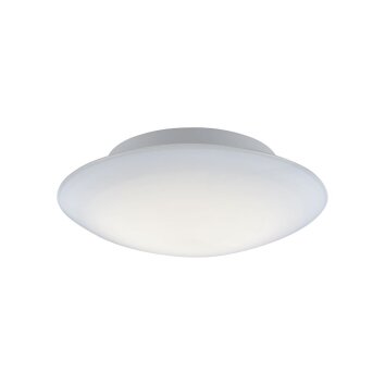 Paul Neuhaus Q-ARKTIS Plafondlamp LED Wit, 1-licht, Afstandsbediening, Kleurwisselaar