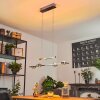 Fernandaires Hanglamp LED Nikkel mat, 8-lichts