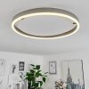 Barril Plafondlamp LED Aluminium, 1-licht