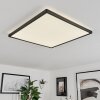 Folgares Plafondpaneel LED Zwart, 1-licht