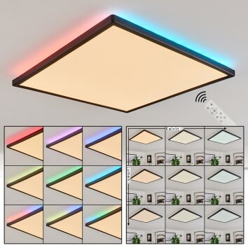 Hortinhas Plafondpaneel LED Zwart, 1-licht, Afstandsbediening, Kleurwisselaar