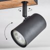 Javel Plafondlamp Bruin, houtlook, Zwart, 6-lichts