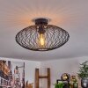 Banleou Plafondlamp Zwart, 1-licht